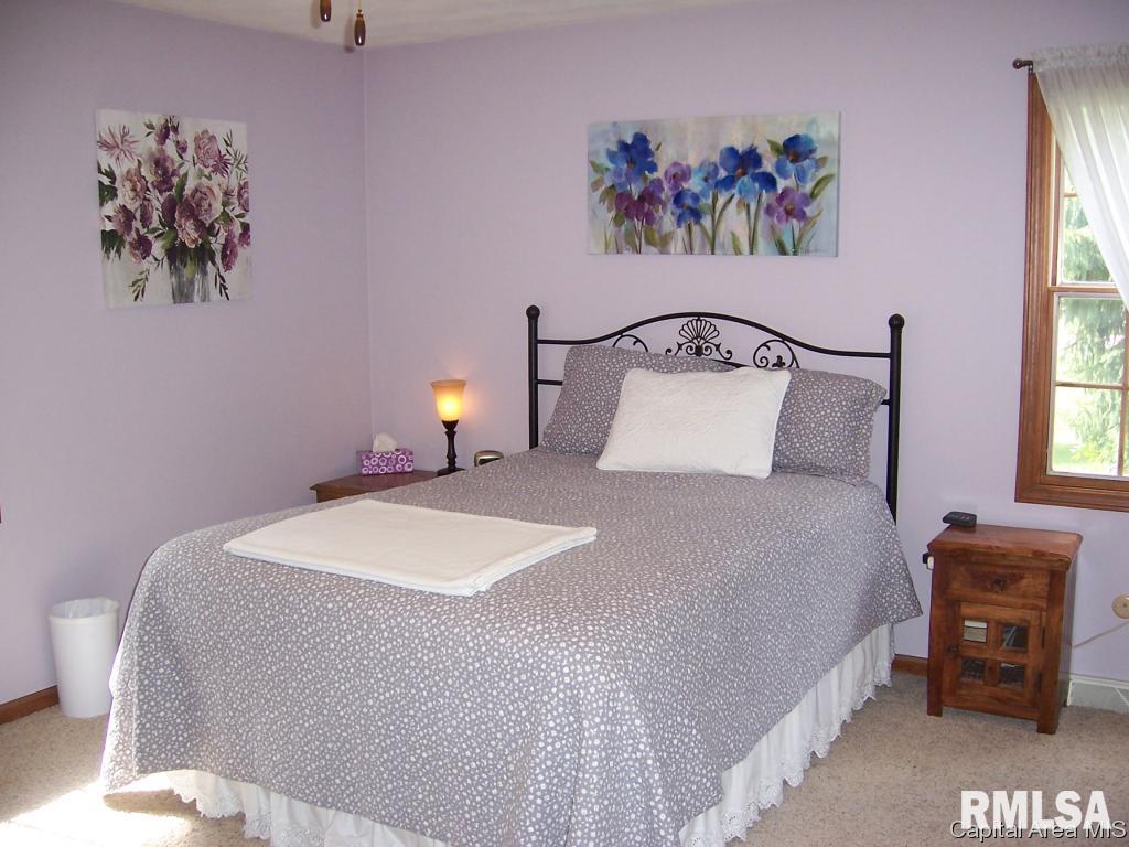 13677 Harris Road Athens, IL 62613 - Photo 23 of 34 Gallery Image 23