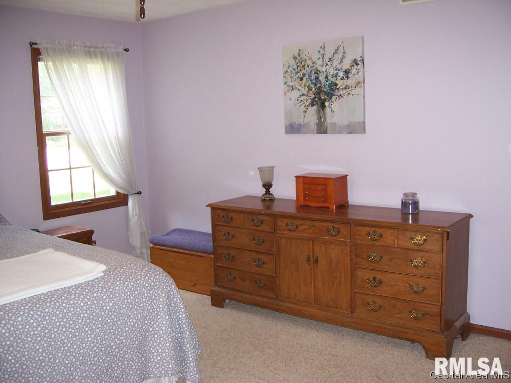 13677 Harris Road Athens, IL 62613 - Photo 24 of 34 Gallery Image 24