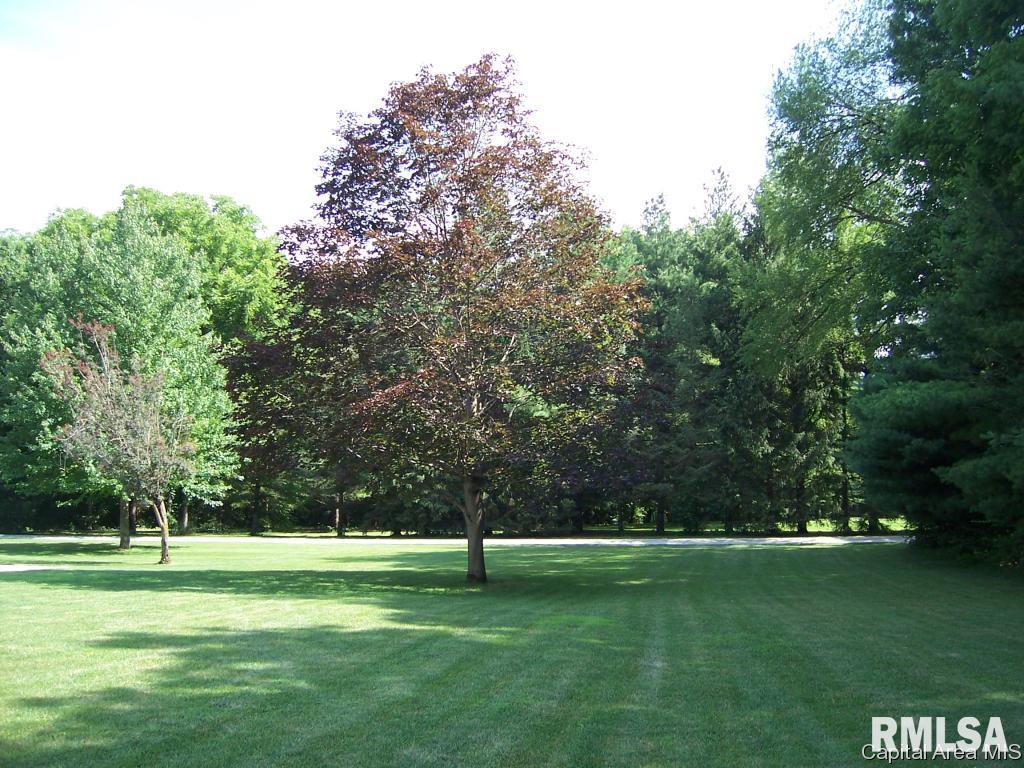 13677 Harris Road Athens, IL 62613 - Photo 32 of 34 Gallery Image 32