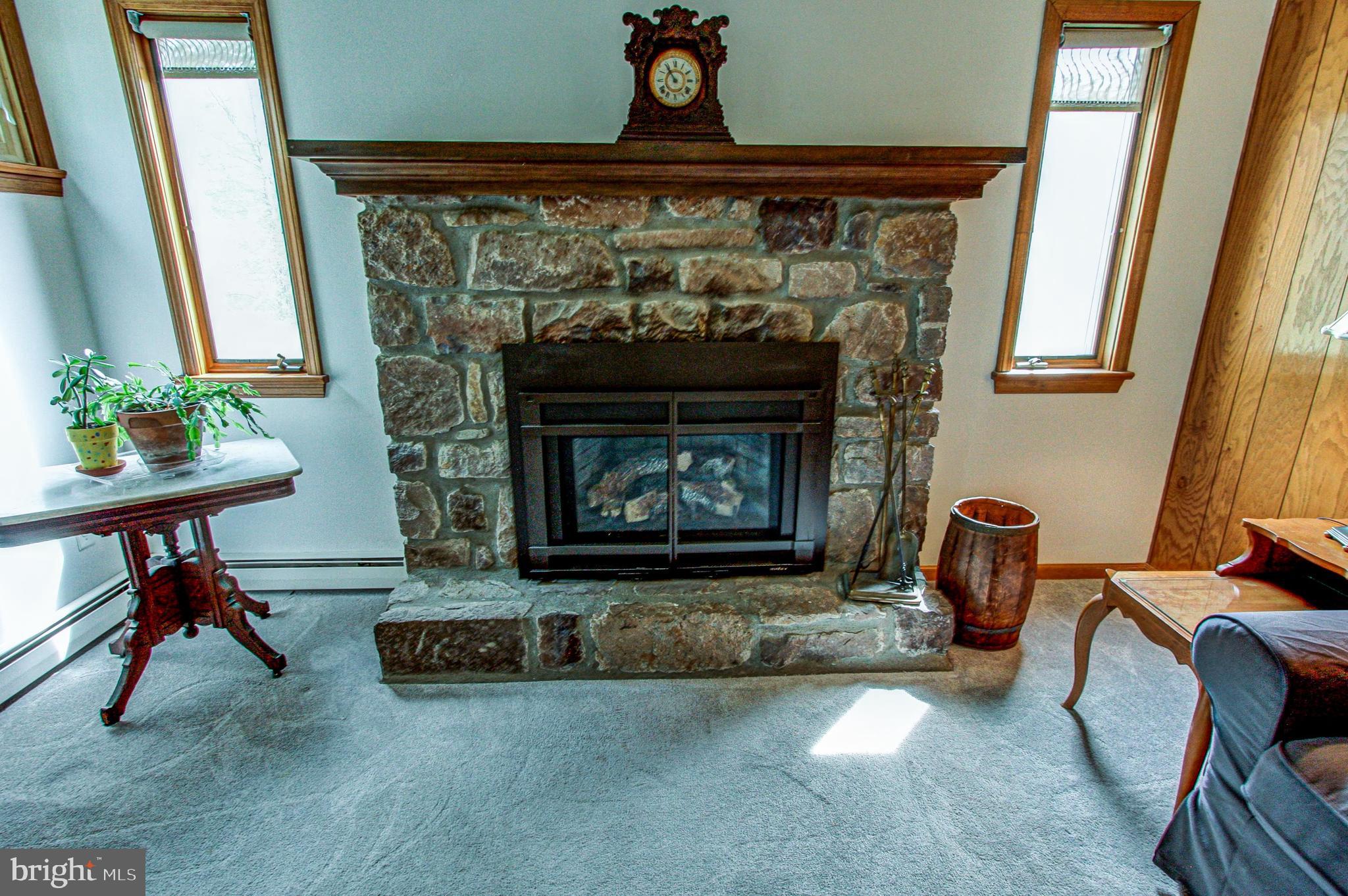 3043 Edison Furlong Road Furlong, PA 18925 - Photo 18 of 34 Fireplace