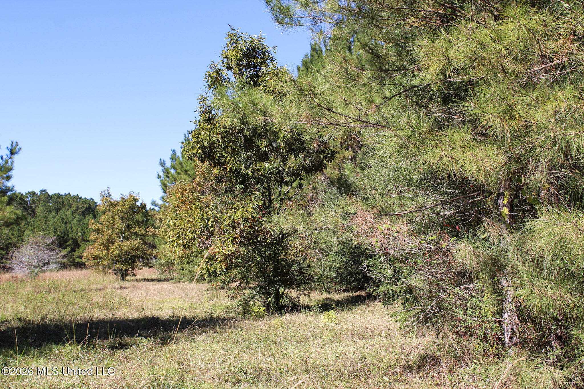 2108 Joel Lang Road McComb, MS 39648 - Photo 5 of 87 72-IMG_0541