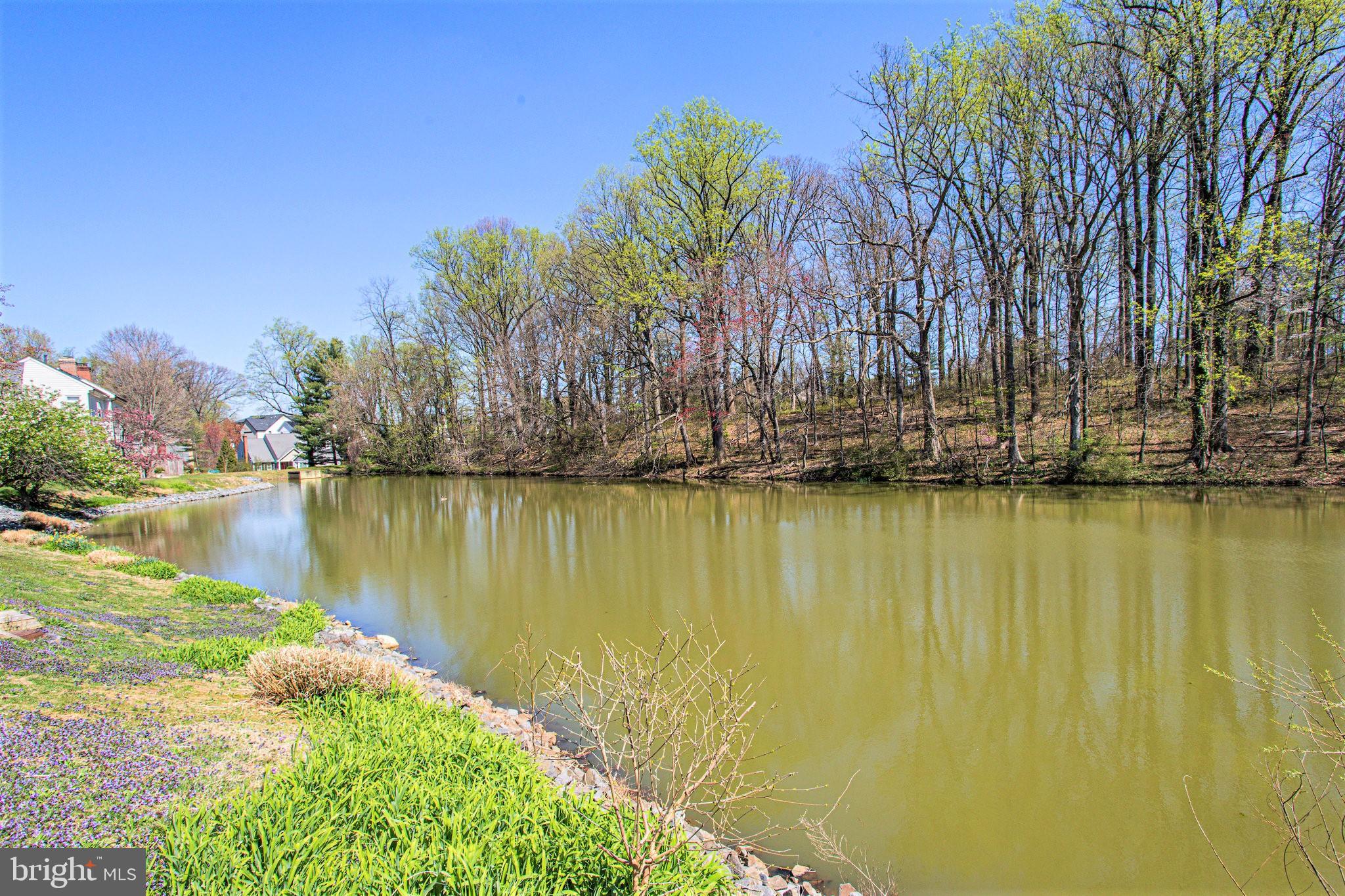 7214 Evans Mill Road McLean, VA 22101 - Photo 20 of 20