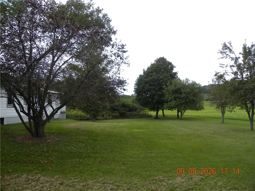 47 Heath Road Barton, NY 14892 - Photo 3 of 17 Side Yard