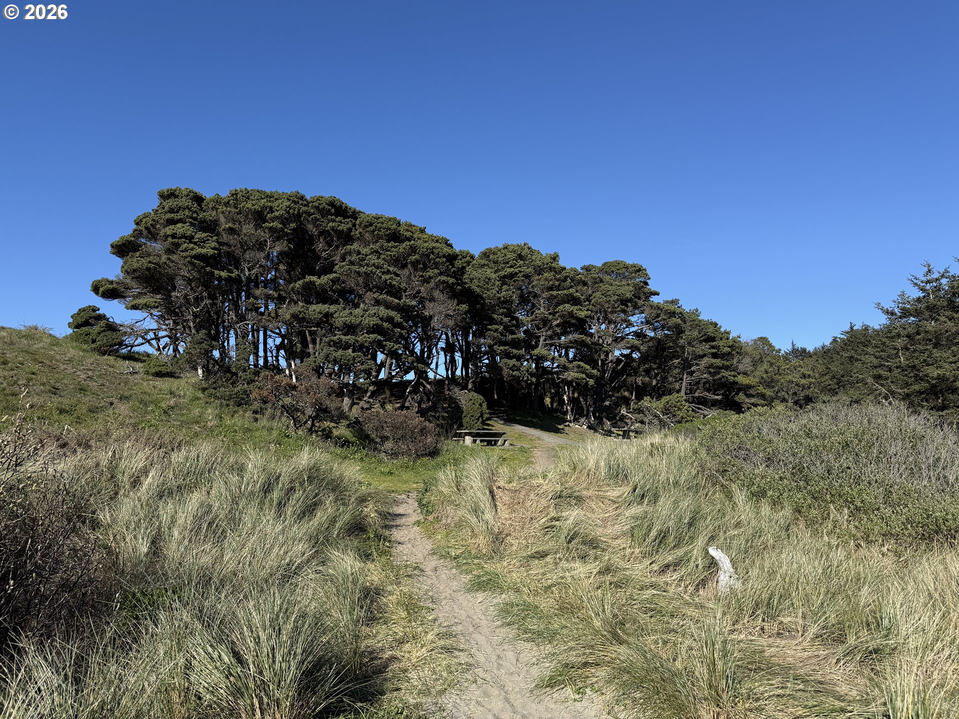 Beach Loop Road Bandon, OR 97411 - Photo 2 of 28