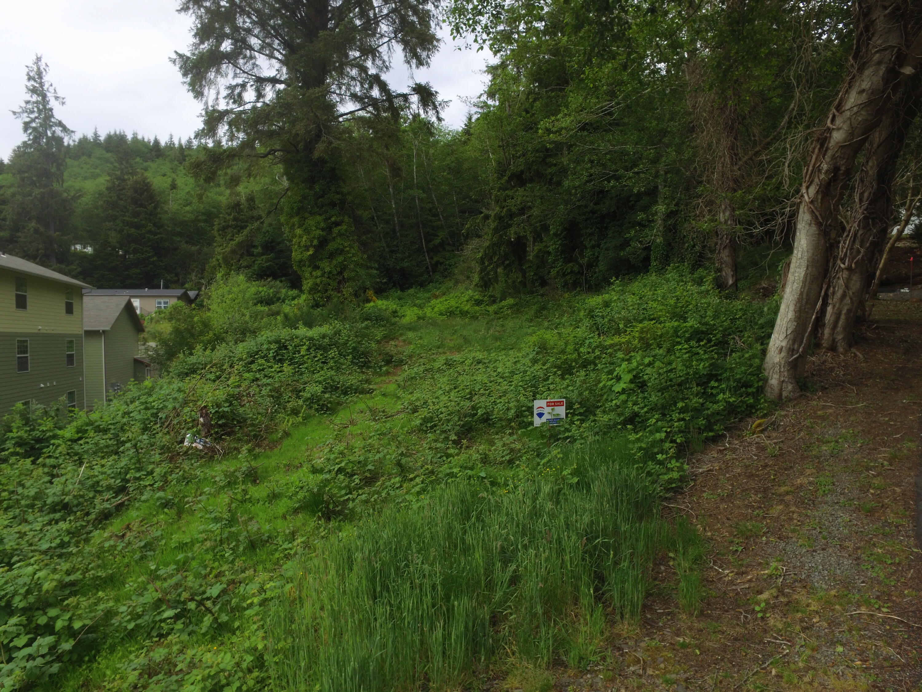 Vl Halverson Lane Garibaldi, OR 97118 - Photo 19 of 19 DJI_0001