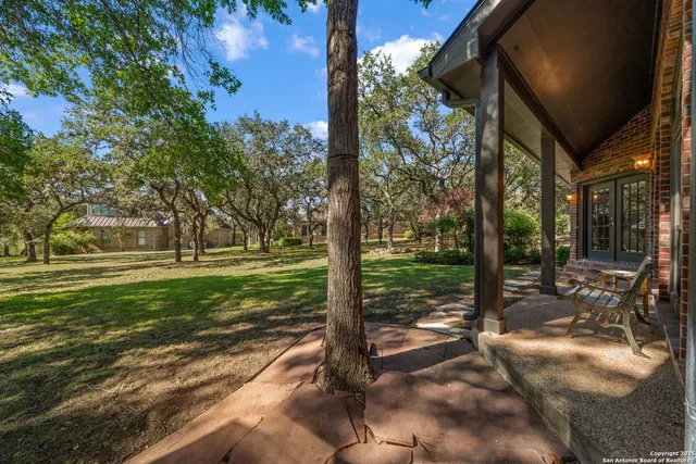 a view of a yard with plants