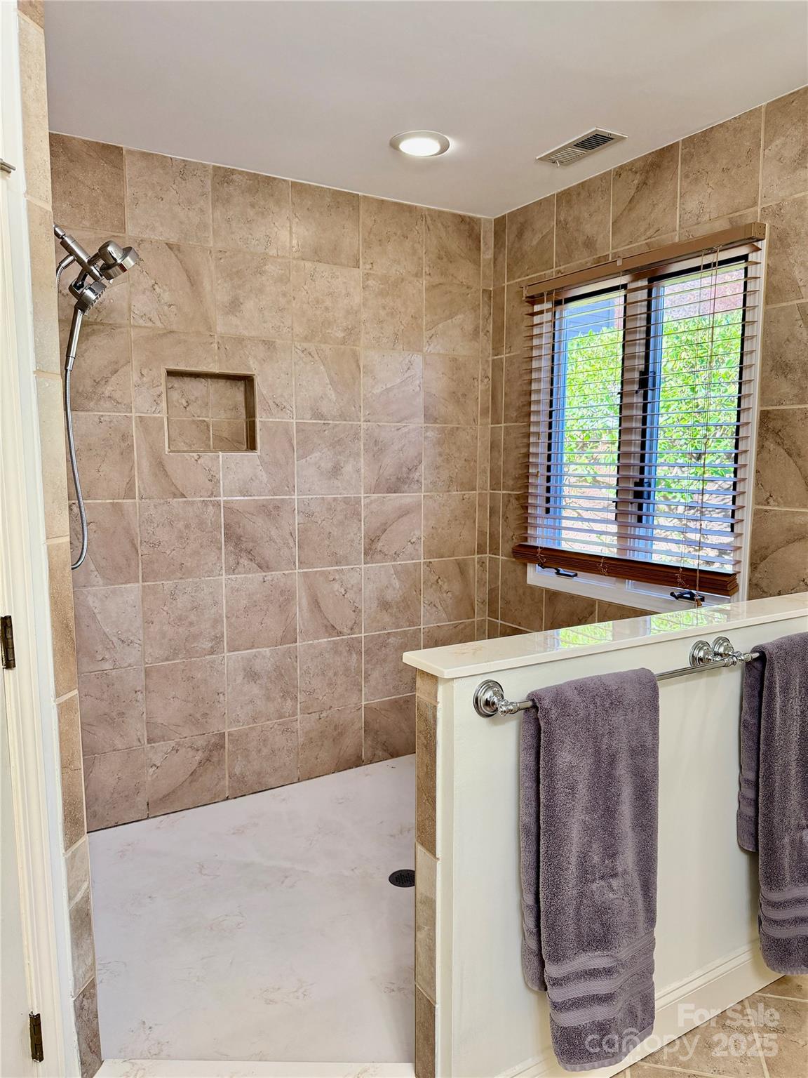 111 Burning Tree Lane, Unit C601 Flat Rock, NC 28731 - Photo 20 of 32 a bathroom with a granite countertop sink a toilet and shower