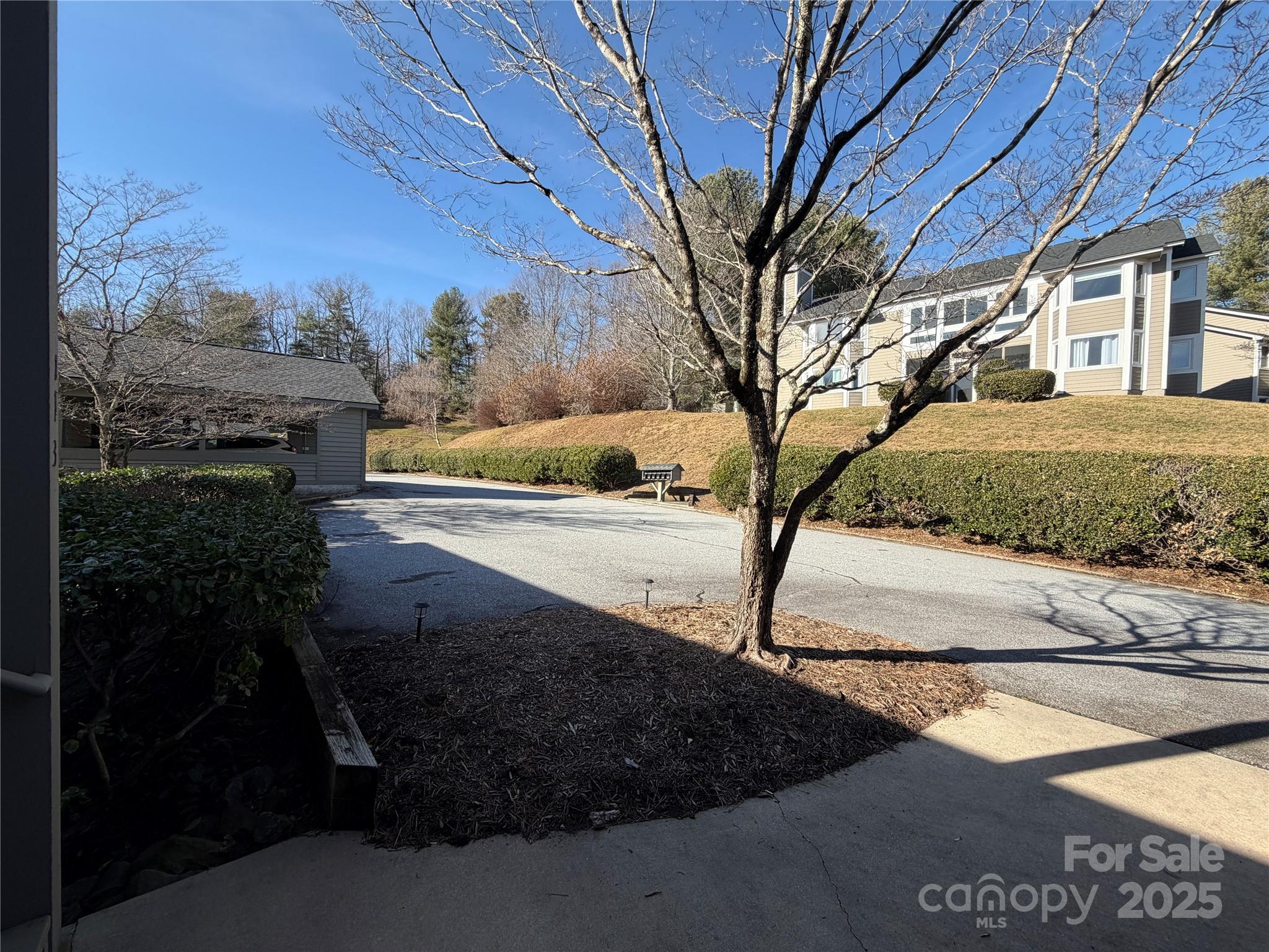 111 Burning Tree Lane, Unit C601 Flat Rock, NC 28731 - Photo 31 of 32 a view of a back yard of the house