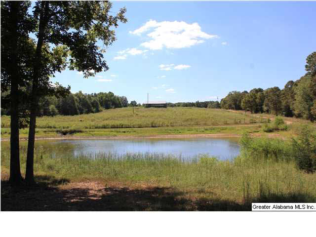 13084 Jackson Trace Road, Unit 94 83 AC Lincoln, AL 35096 - Photo 2 of 32