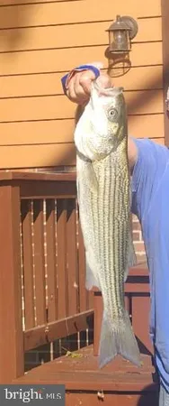 a view of a lake from a yard