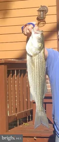 $3,750 | 1780 Twirly Court, Prince Frederick, MD 20678