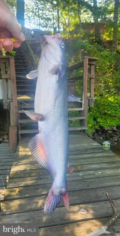 $3,750 | 1780 Twirly Court, Prince Frederick, MD 20678