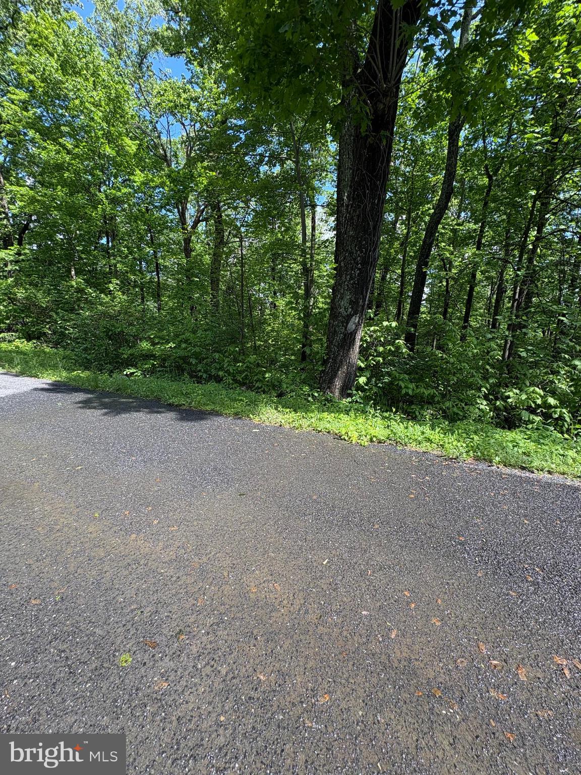 Lot 246 Inca Trail Winchester, VA 22602 - Photo 2 of 5 a view of a field with trees in the background