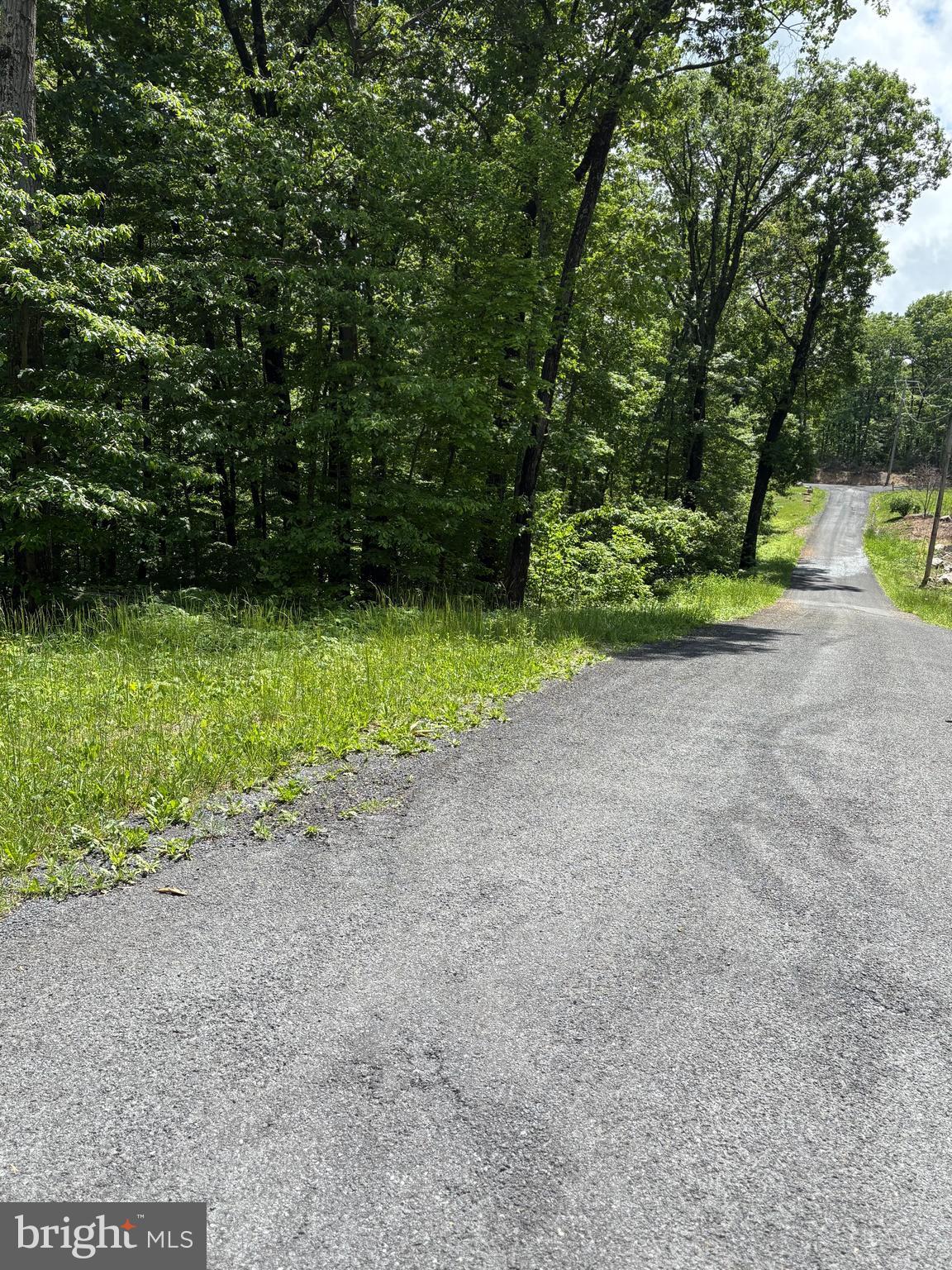 Lot 246 Inca Trail Winchester, VA 22602 - Photo 3 of 5 a view of a yard with a tree