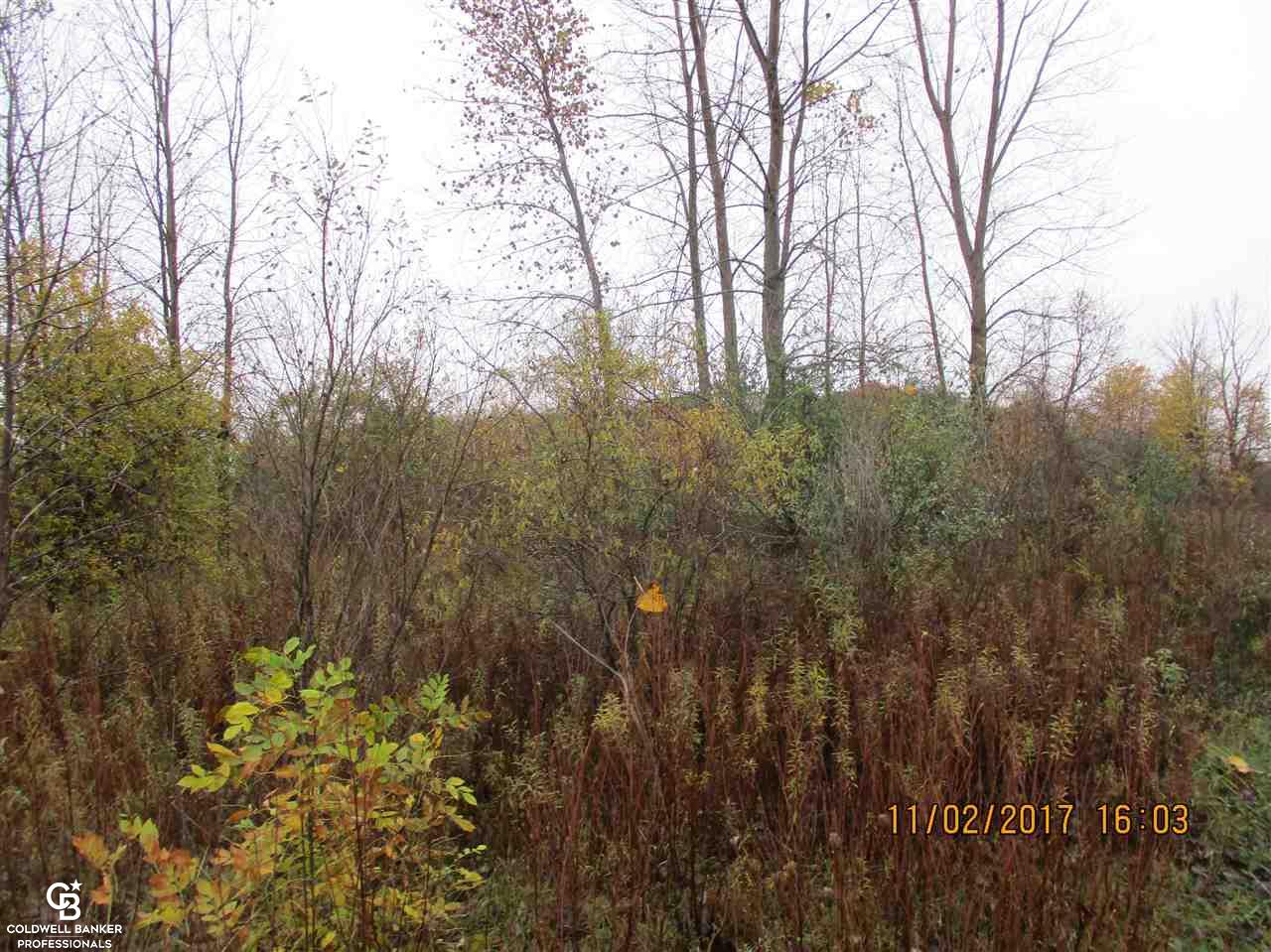 8101 Imlay City Road Avoca, MI 48006 - Photo 1 of 3