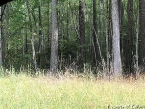629 Chapel Neck Road North, VA 23128 - Photo 1 of 4 View of local wilderness