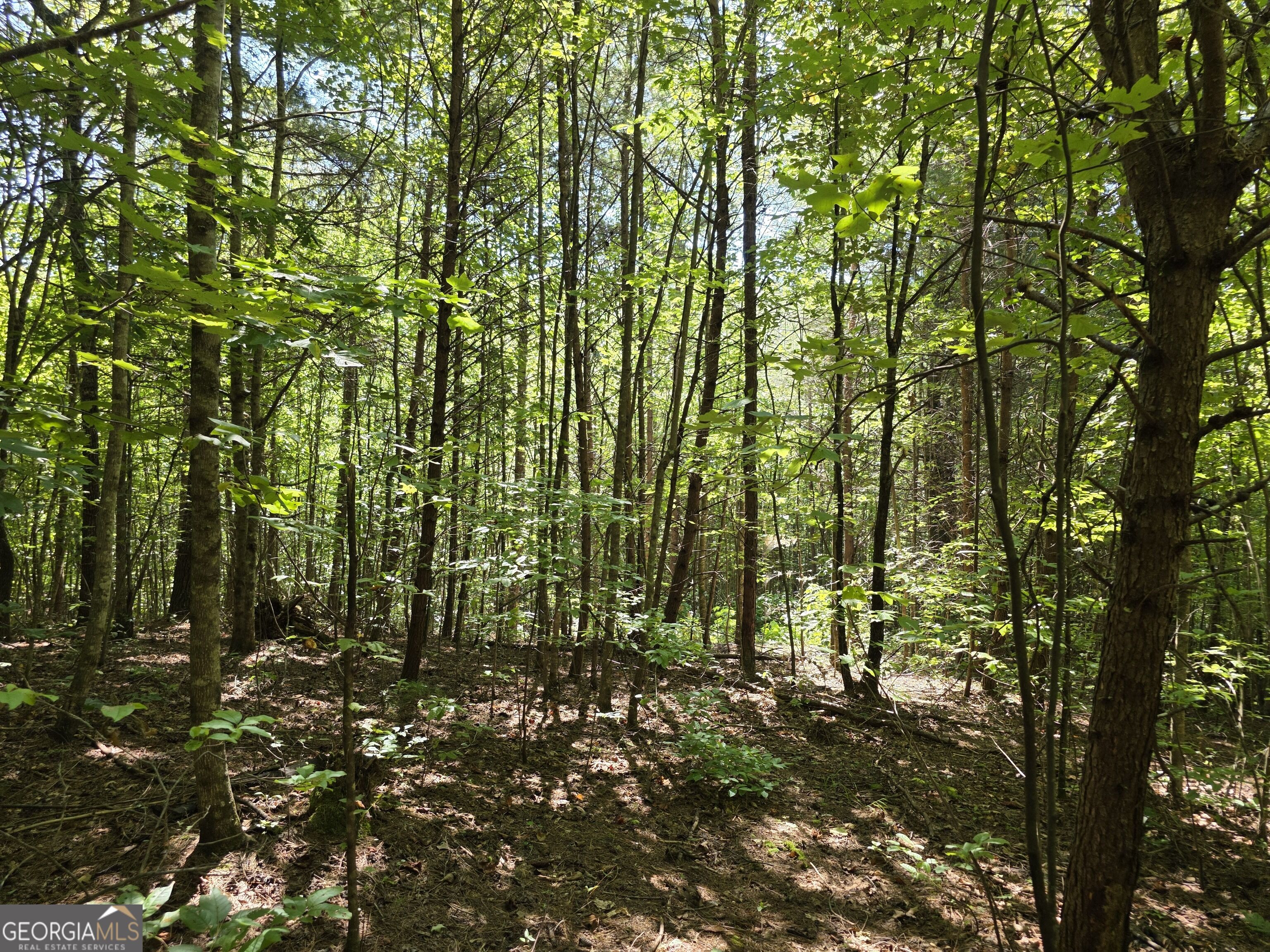 34.98 Hall Road Turtletown, TN 37391 - Photo 41 of 47 Gallery Image 41