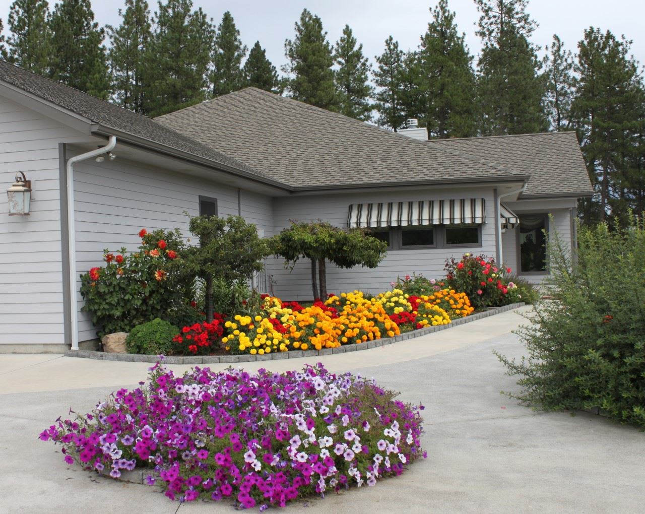 36 Windy Ridge Lane Kettle Falls, WA 99141 - Photo 1 of 50