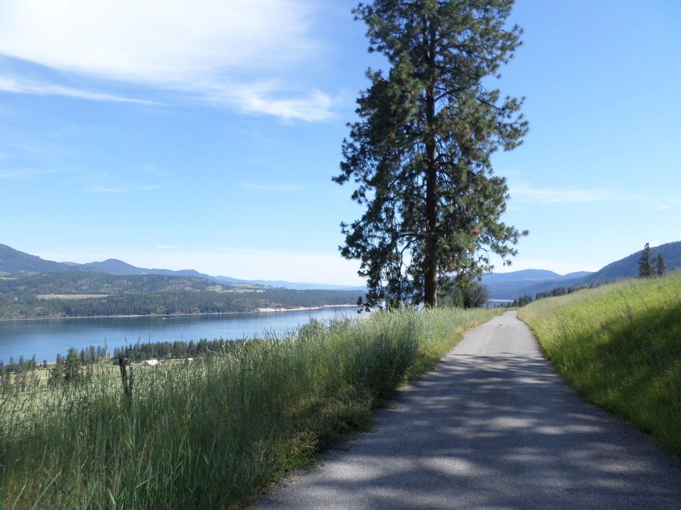 36 Windy Ridge Lane Kettle Falls, WA 99141 - Photo 4 of 50