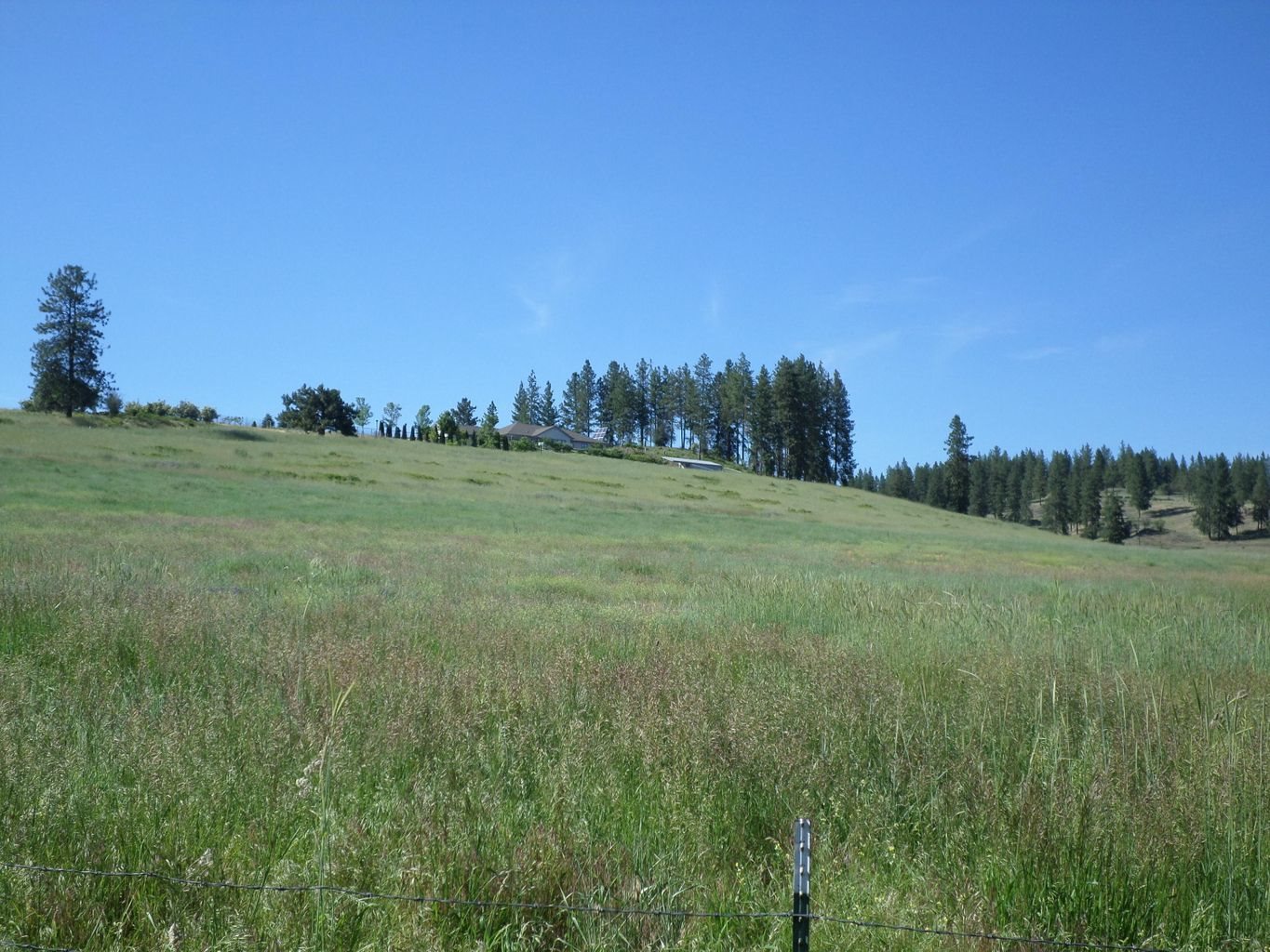 36 Windy Ridge Lane Kettle Falls, WA 99141 - Photo 39 of 50