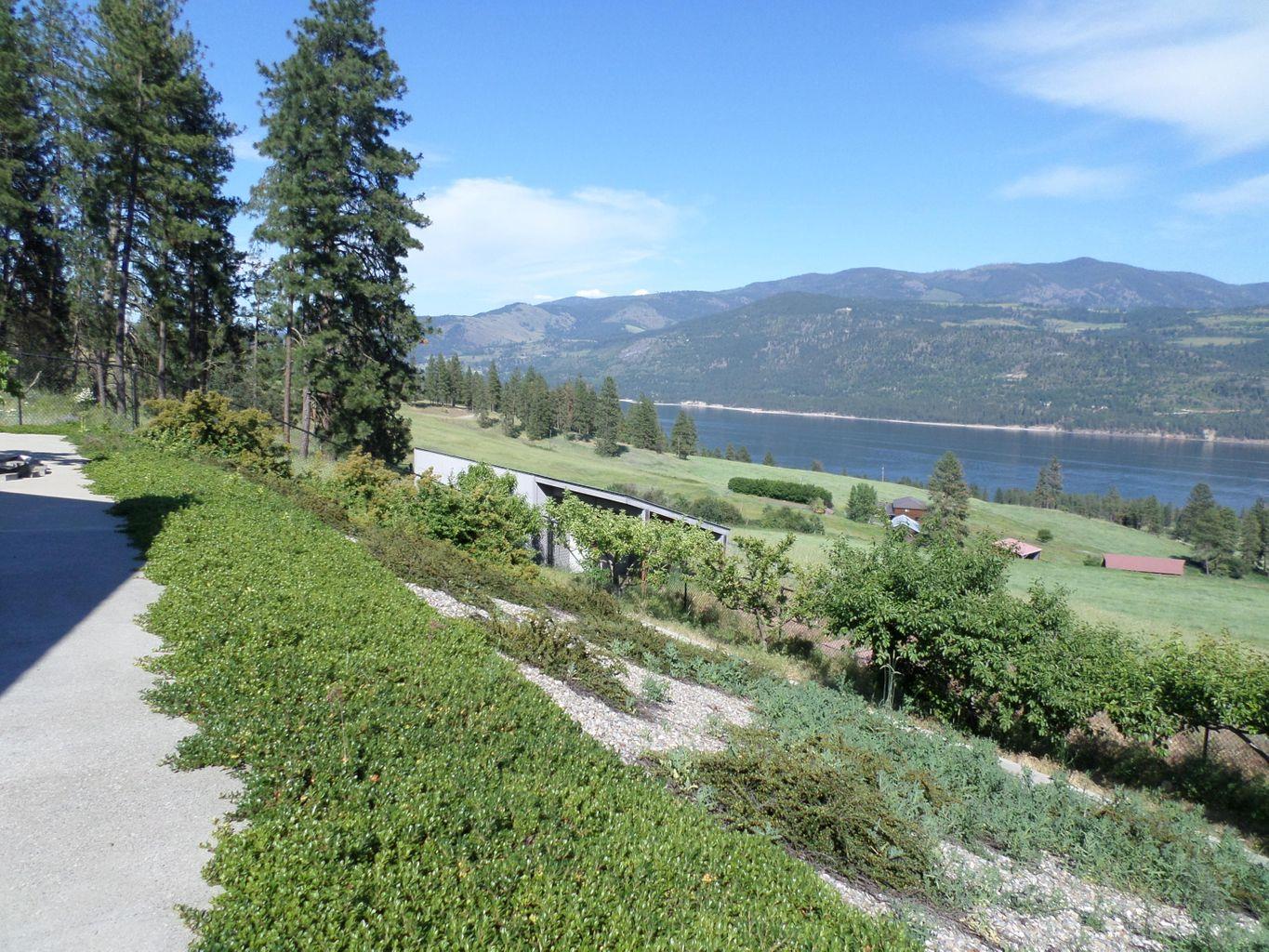 36 Windy Ridge Lane Kettle Falls, WA 99141 - Photo 49 of 50