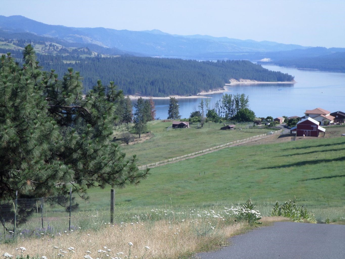 36 Windy Ridge Lane Kettle Falls, WA 99141 - Photo 50 of 50