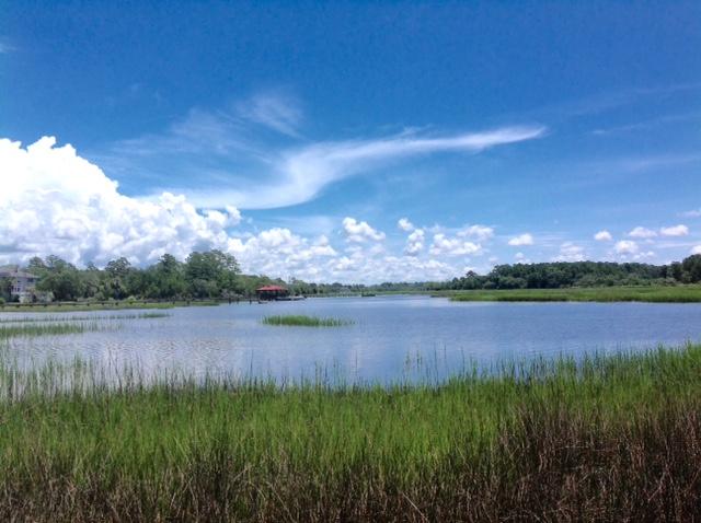 Lot 5 Summit Plantation Road Meggett, SC 29449 - Photo 3 of 15 FullSizeRender_5