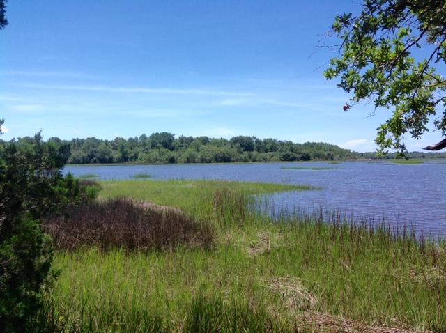 Lot 5 Summit Plantation Road Meggett, SC 29449 - Photo 5 of 15 FullSizeRender_7