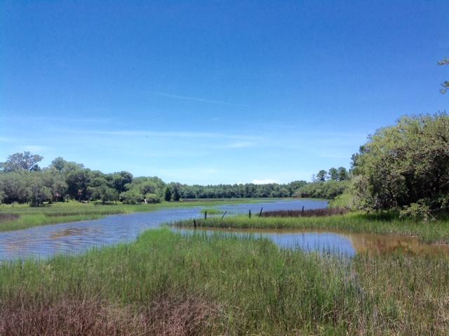 Lot 5 Summit Plantation Road Meggett, SC 29449 - Photo 10 of 15 FullSizeRender_13