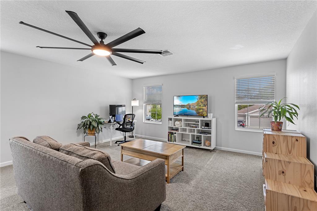 5693 Alenlon Way Mount Dora, FL 32757 - Photo 20 of 40 a living room with furniture and a potted plant