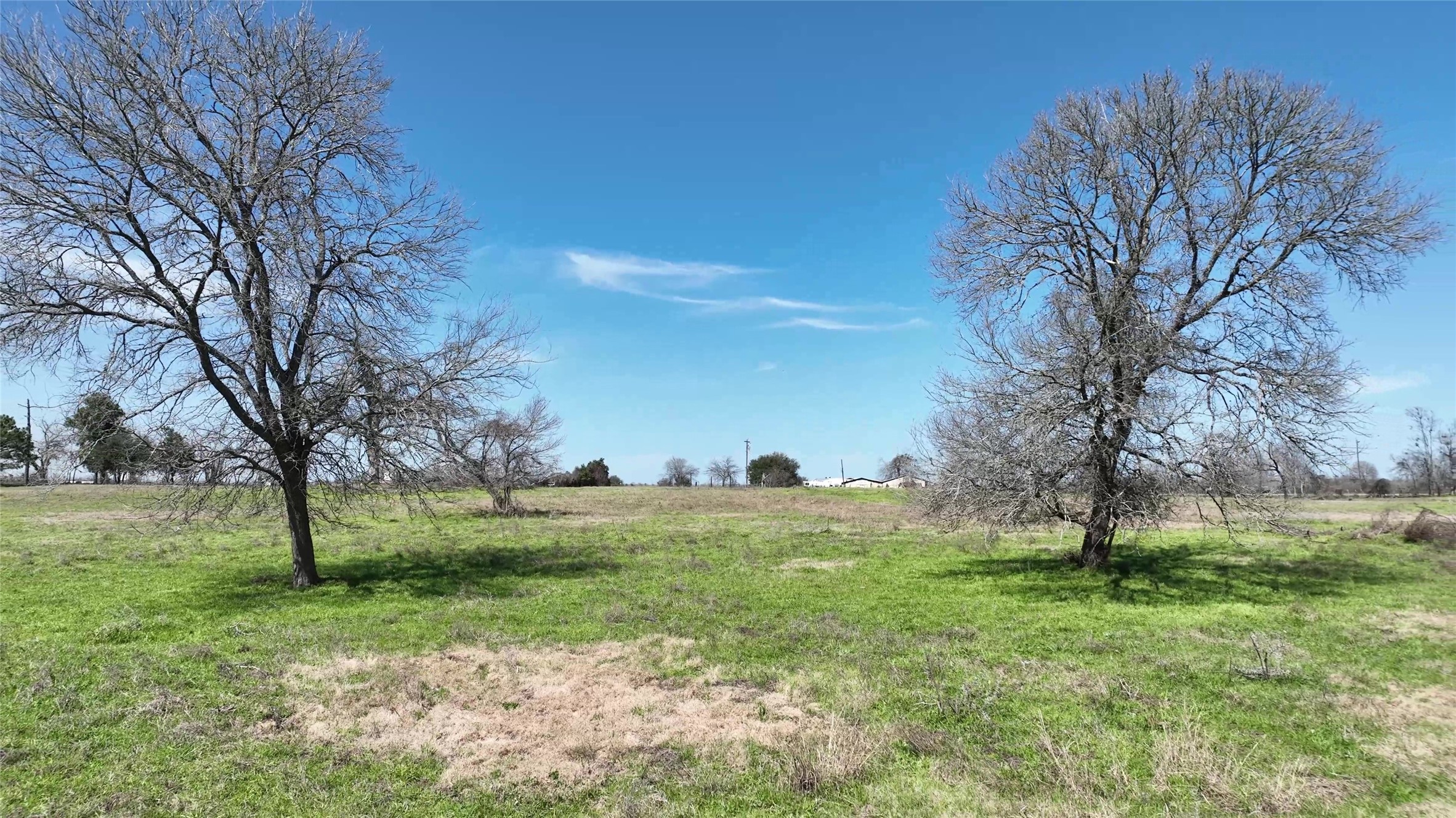 40365 Mt Zion Road Pattison, TX 77423 - Photo 14 of 41 a view of outdoor space with green field and trees