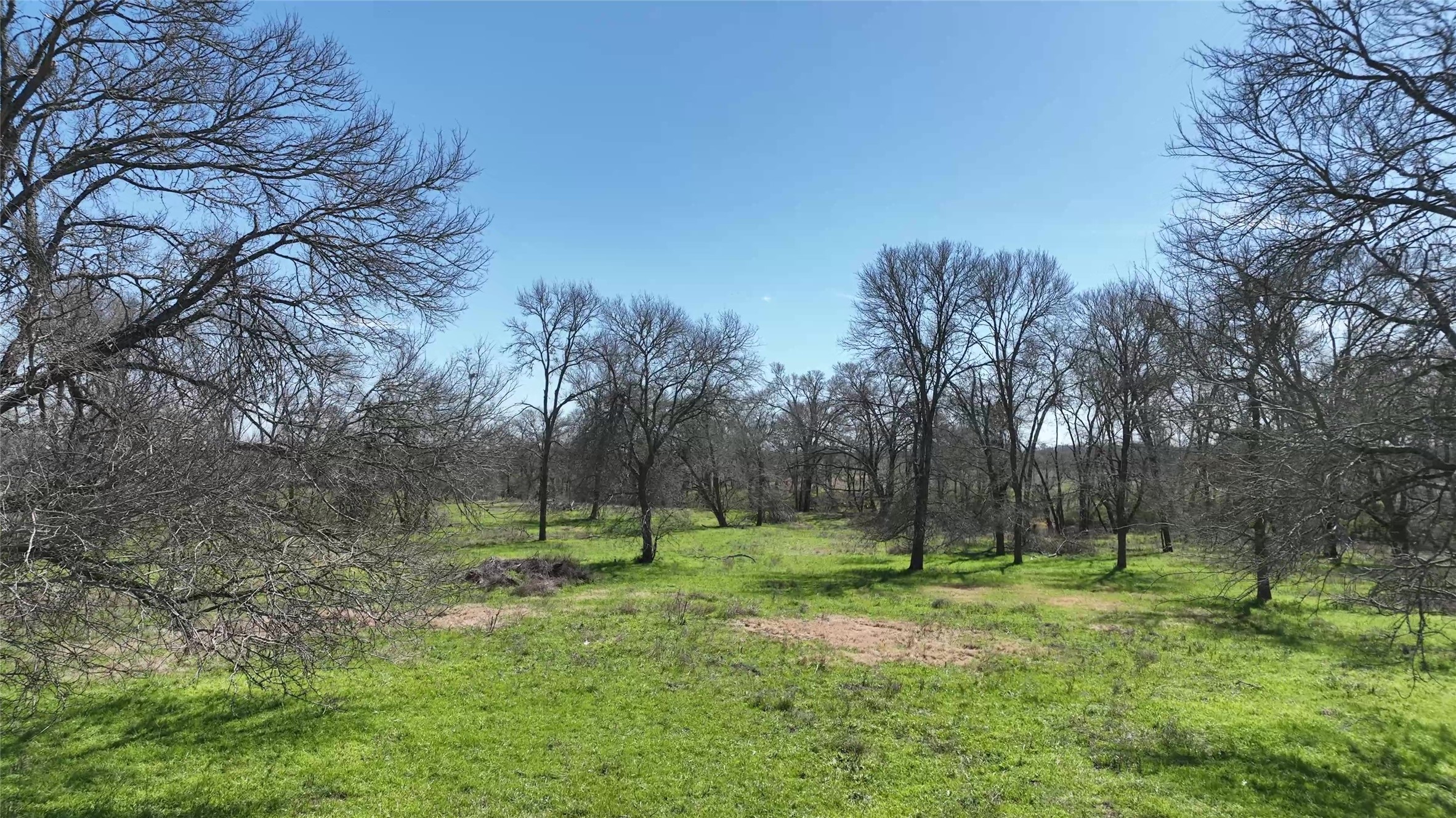 40365 Mt Zion Road Pattison, TX 77423 - Photo 17 of 41 a view of a park with large trees