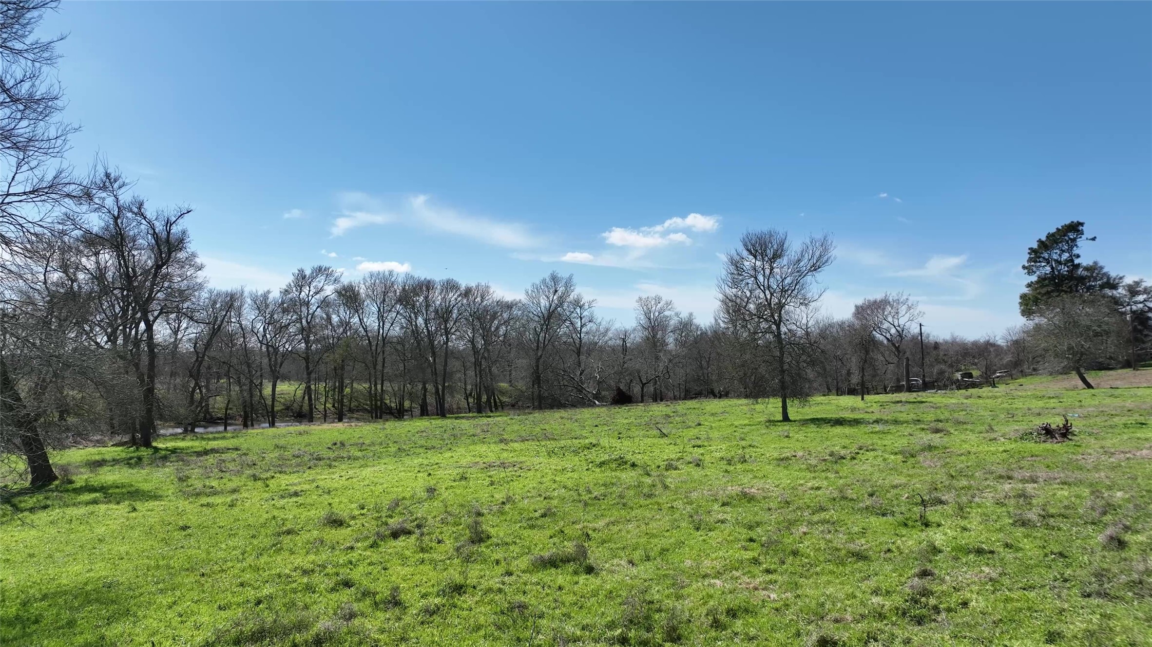40365 Mt Zion Road Pattison, TX 77423 - Photo 18 of 41 a backyard of a house with lots of green space