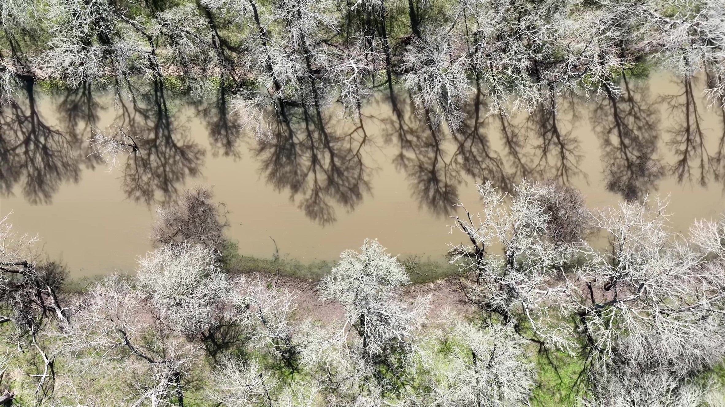 40365 Mt Zion Road Pattison, TX 77423 - Photo 34 of 41 a backyard of a house with lots of green space
