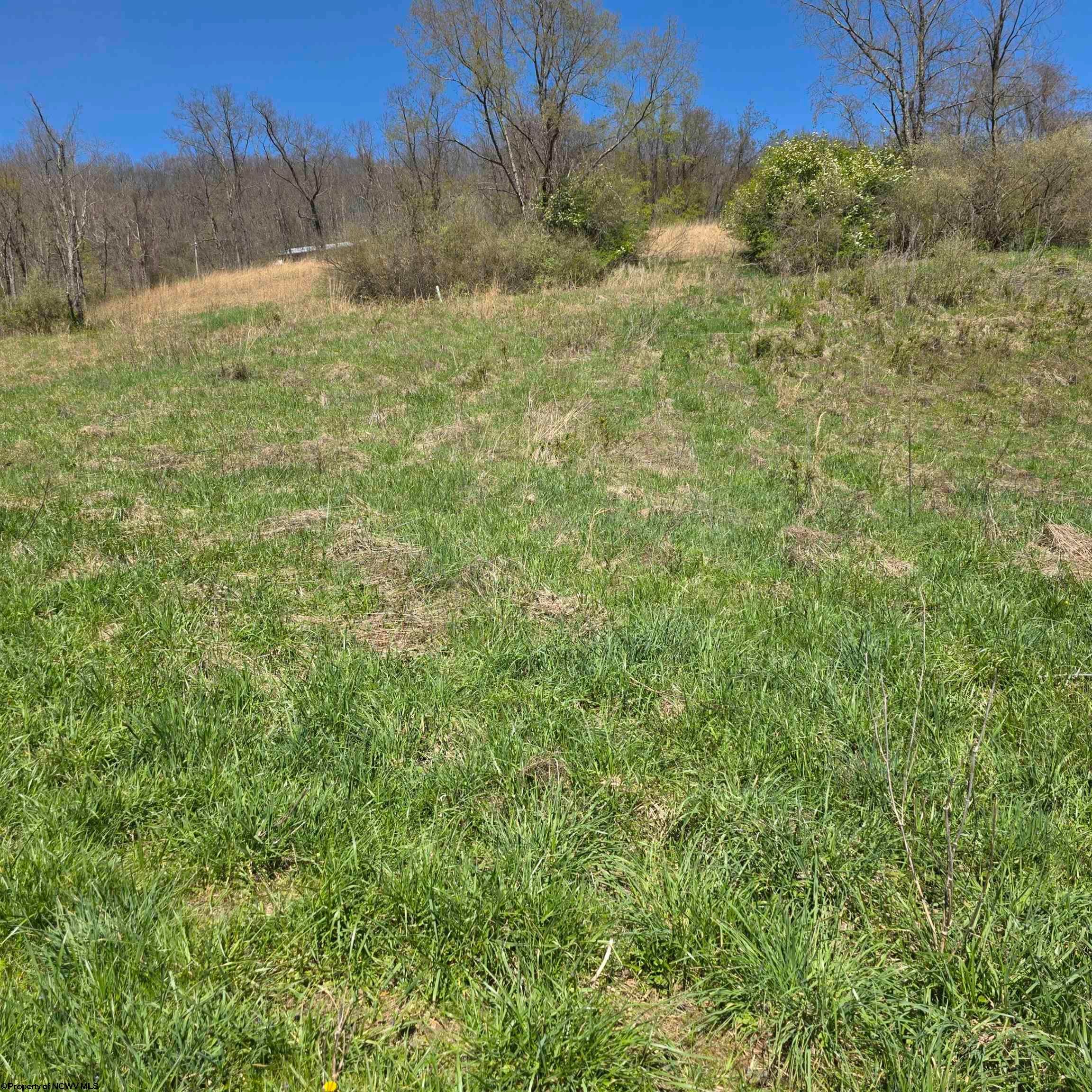 Tbd Simpson Run Road Weston, WV 26452 - Photo 17 of 19 Gallery Image 17