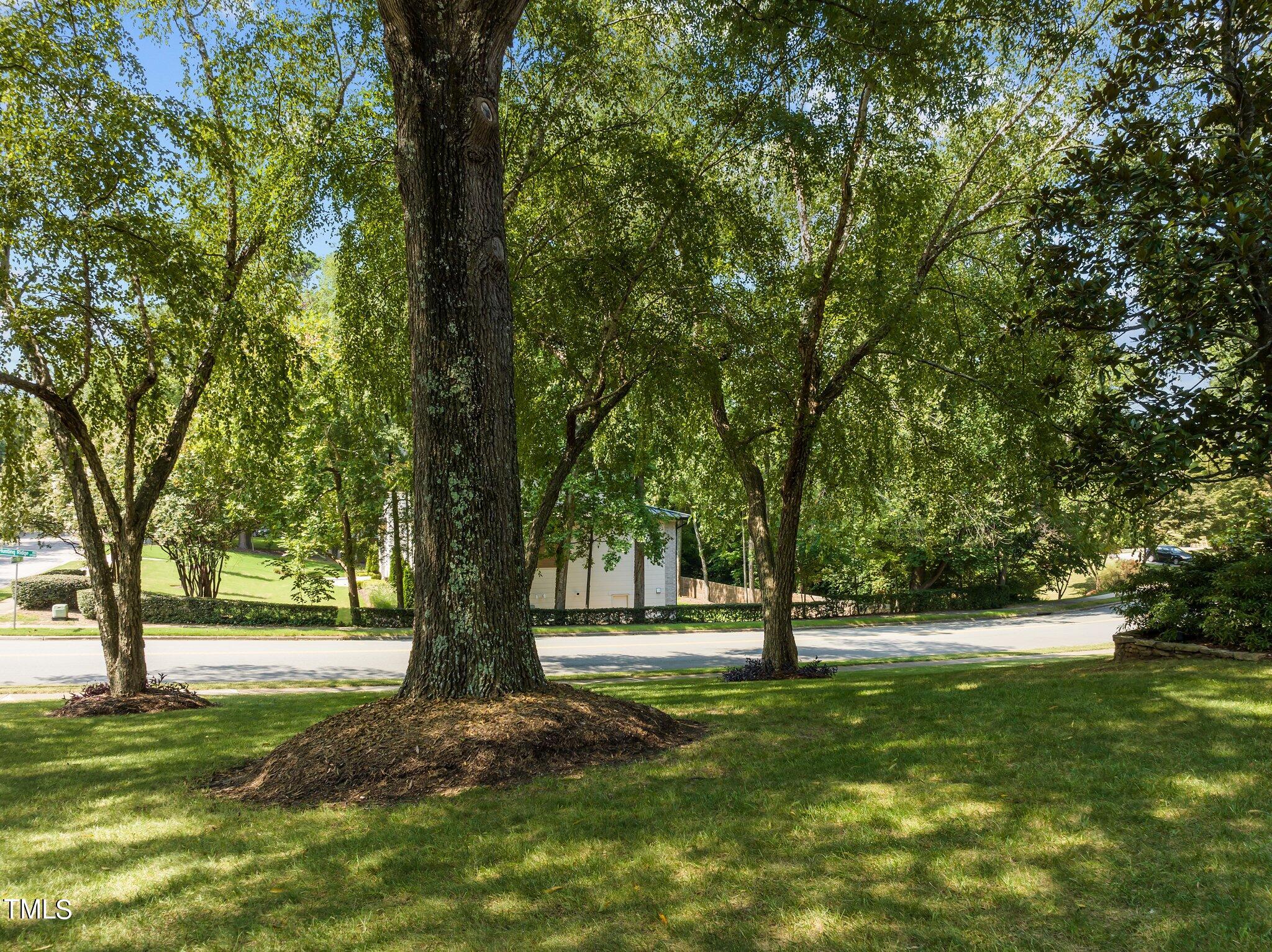 7201 North Ridge Drive Raleigh, NC 27615 - Photo 54 of 60 a view of outdoor space with trees