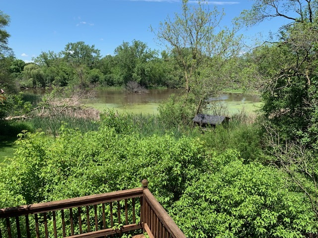1610 West Baldwin Road Inverness, IL 60067 - Photo 5 of 22