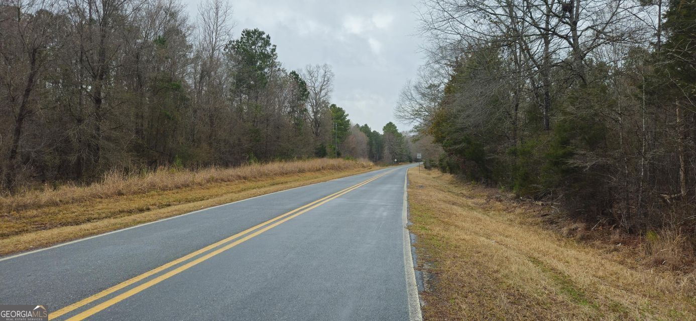 0 White Rock Road Lincolnton, GA 30817 - Photo 1 of 1 Gallery Image 1