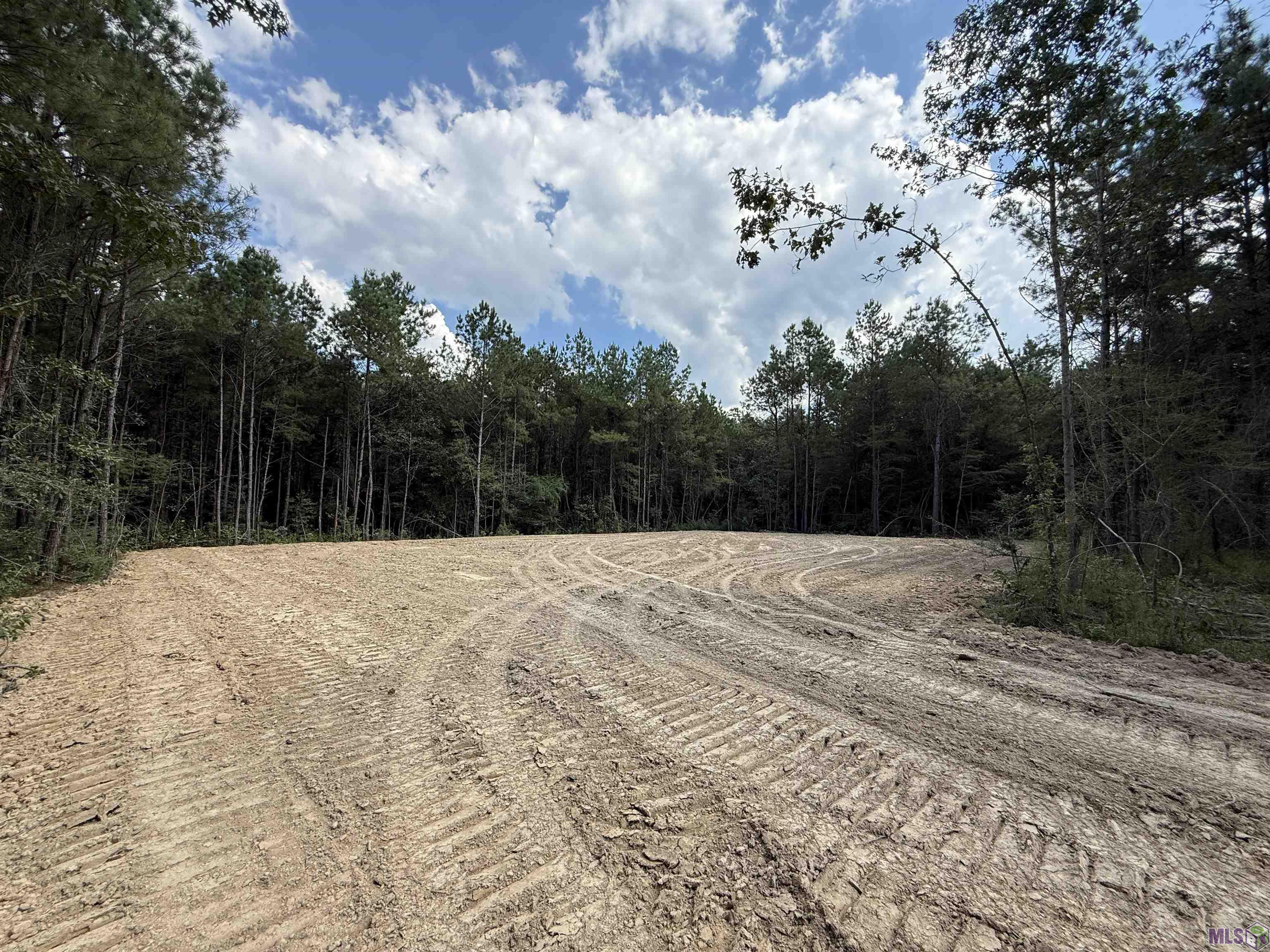Lot 2 Honey Grove Livingston, LA 70754 - Photo 5 of 15