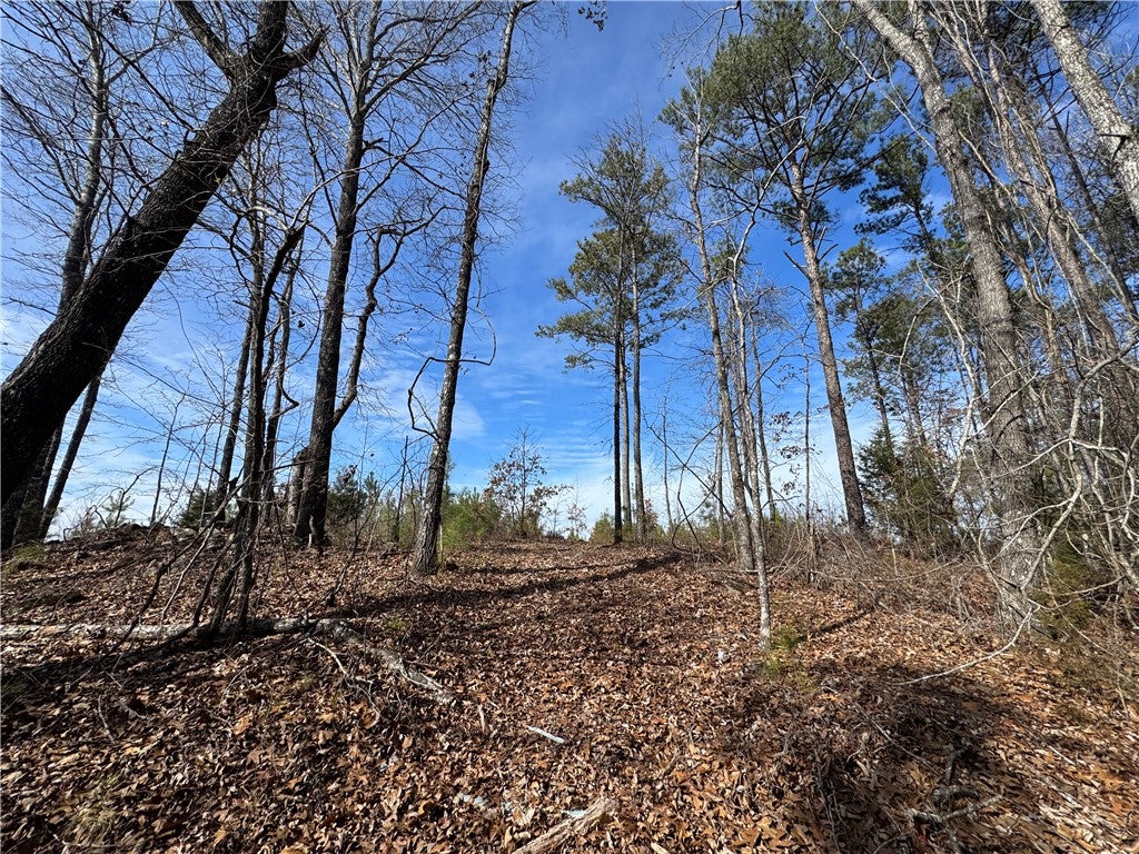 0 South Thornton Road Camp Hill, AL 36850 - Photo 35 of 37 Gallery Image 35