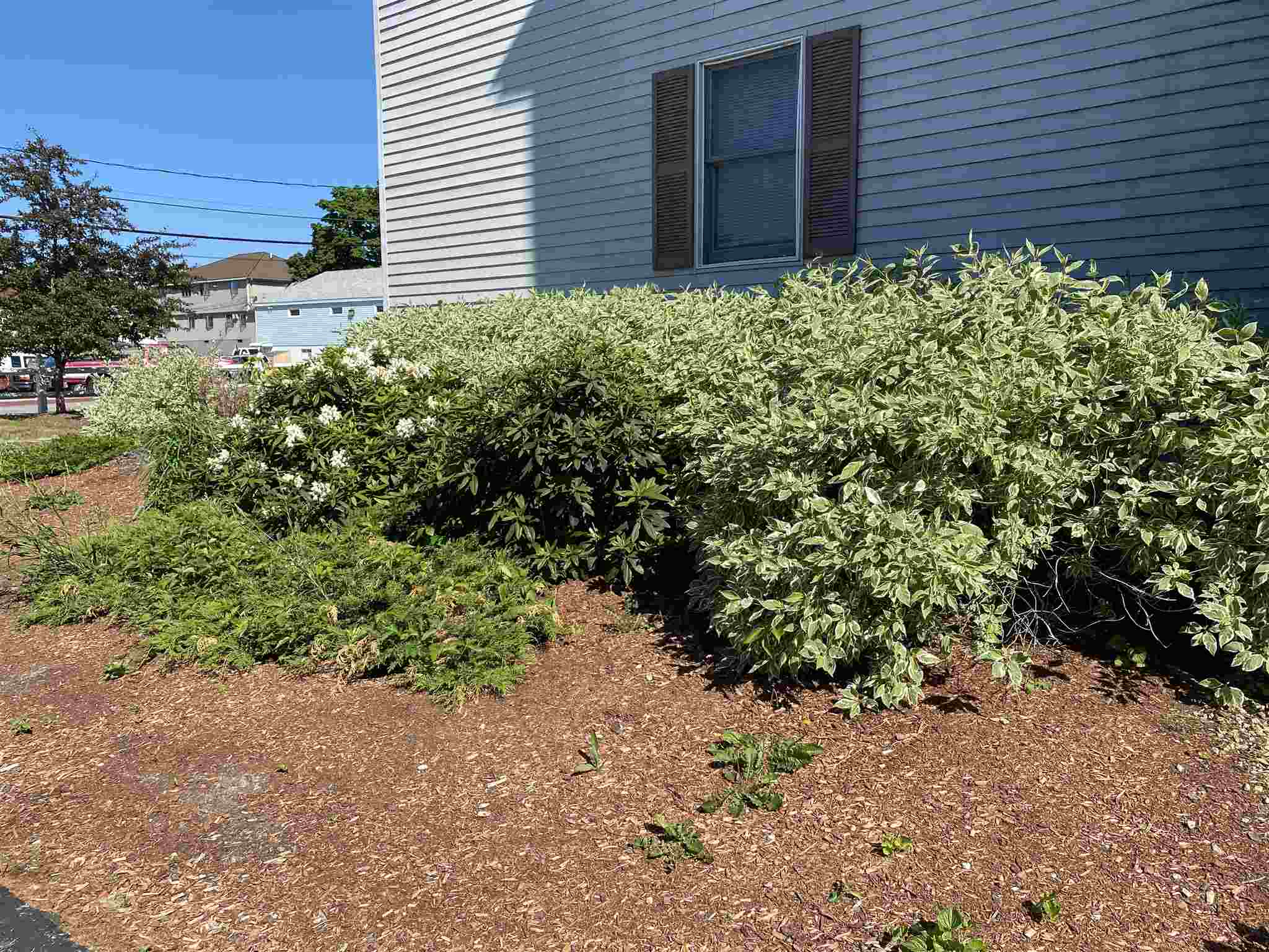 7 Railroad Avenue, Unit 103 Derry, NH 03038 - Photo 37 of 40