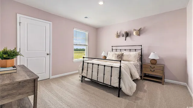 $314,990 | 540 Scarlet Sage Drive, Conway, SC 29527