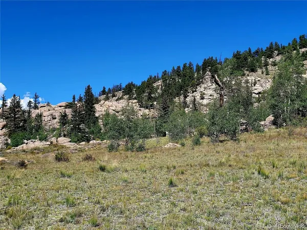 a view of a dry yard with trees