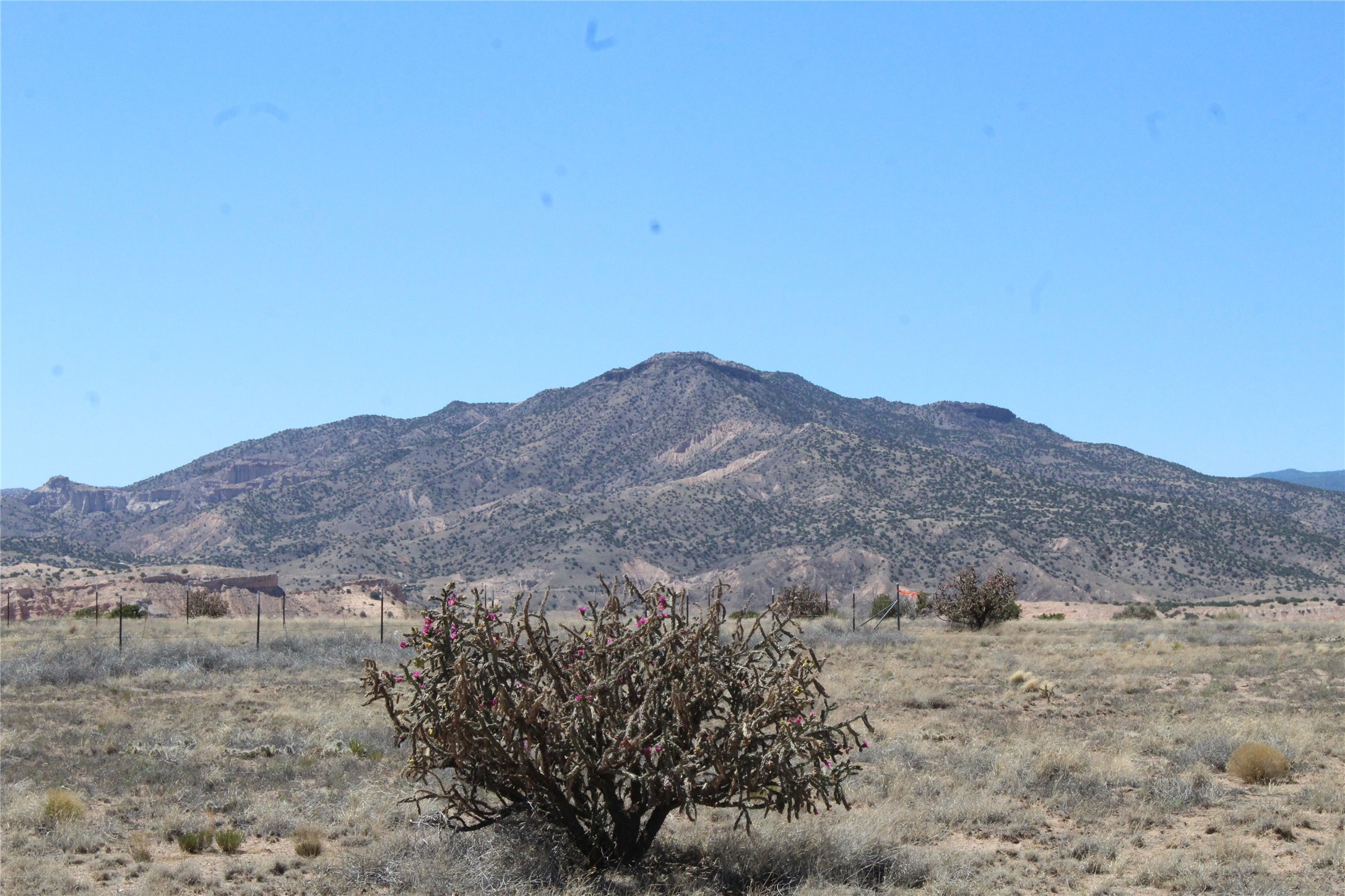 Tbd Tbd Bridle Trail Ojo Caliente, NM 87549 - Photo 3 of 7