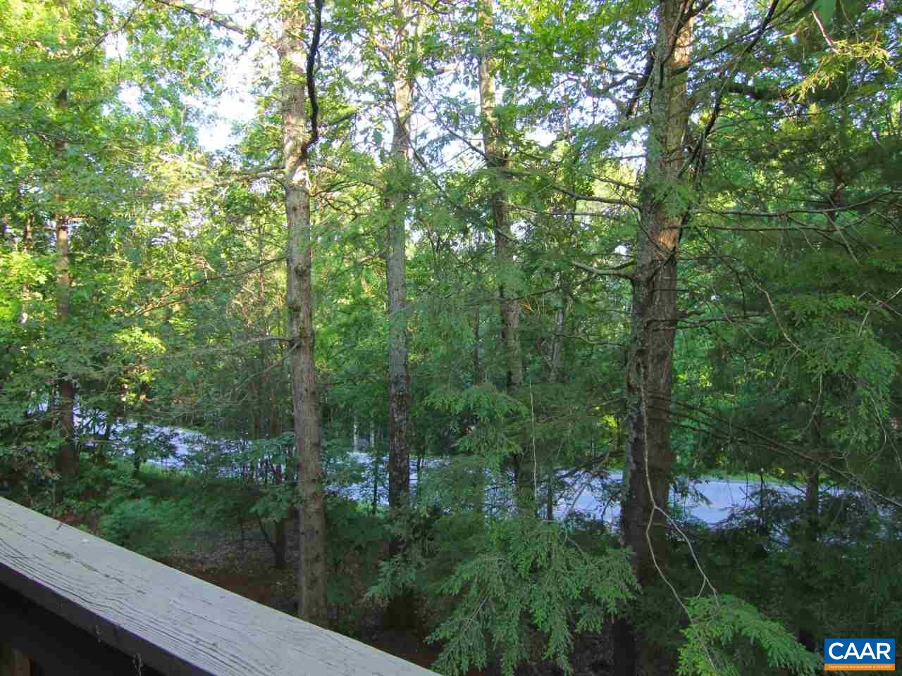 423 Three Ridges Roseland, VA 22967 - Photo 10 of 11 Gallery Image 10