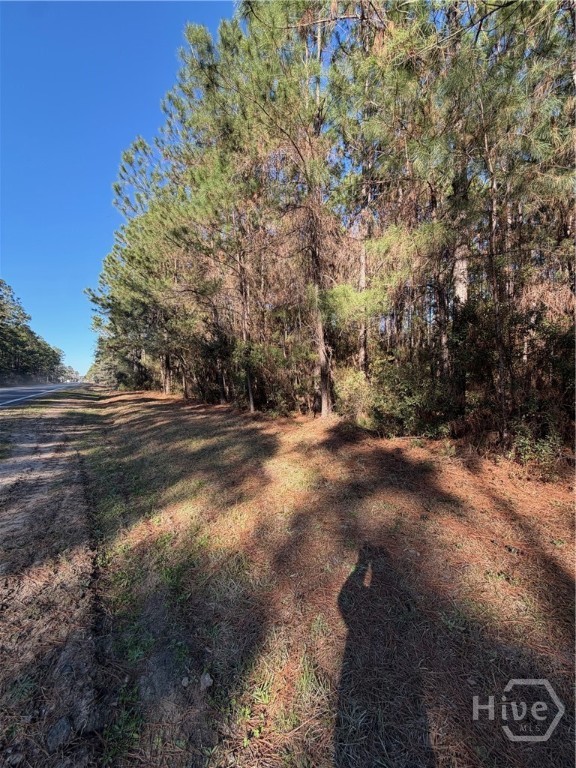 3 C McCall Road Springfield, GA 31329 - Photo 2 of 4