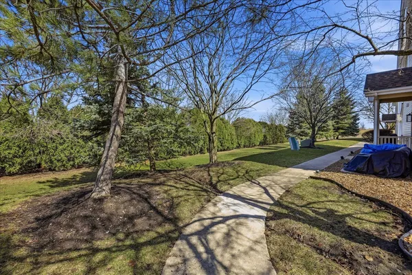 a view of yard with tree s