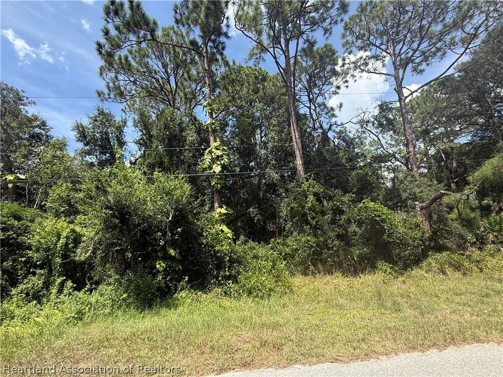2270 West Longbottom Road Avon Park, FL 33825 - Photo 1 of 2 Gallery Image 1