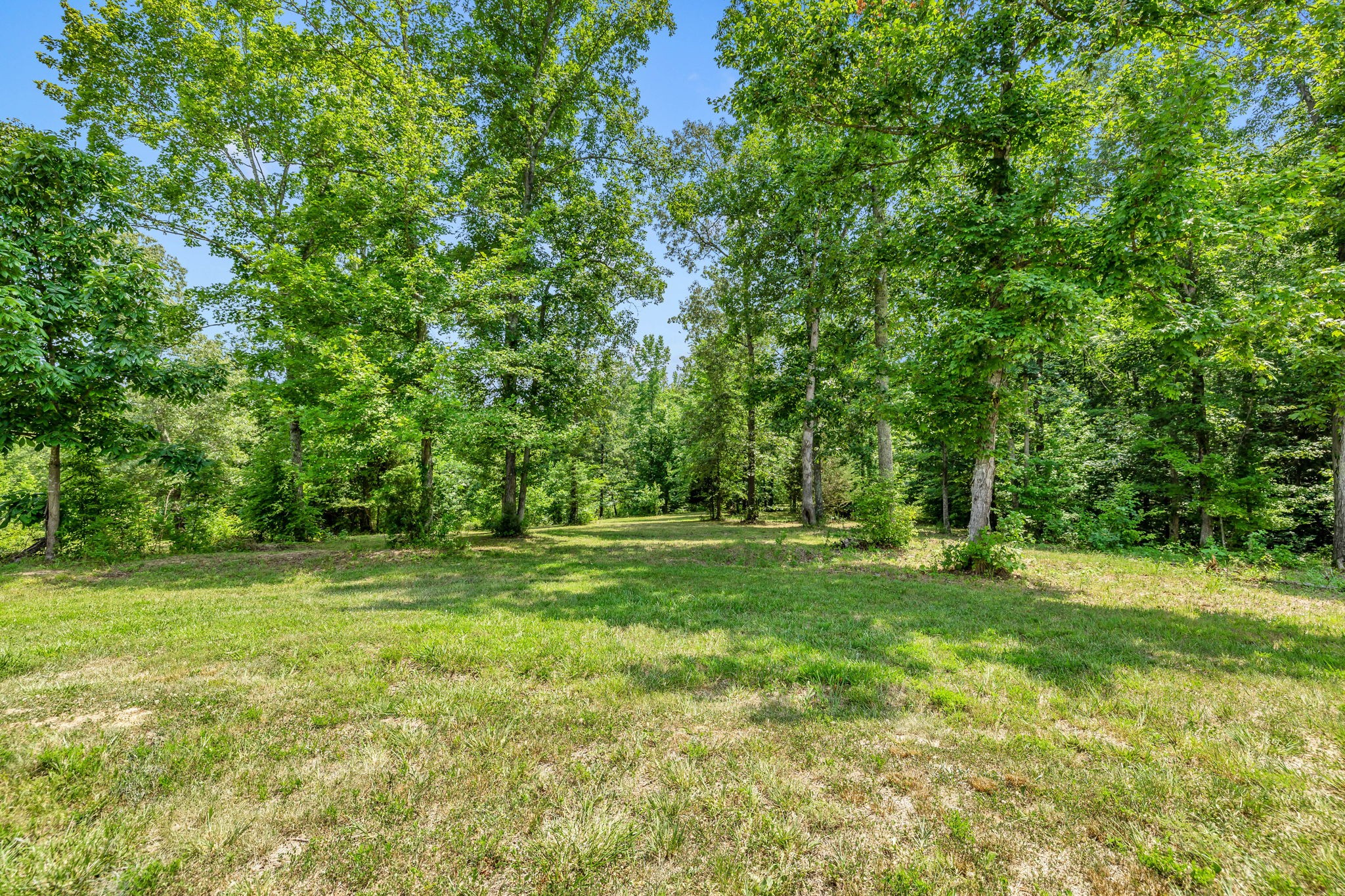 630 Pleasant Hill Road Dover, TN 37058 - Photo 1 of 28 Gallery Image 1