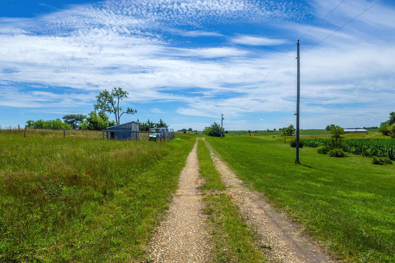 1811 245th Street Calamus, IA 52729 - Photo 12 of 16